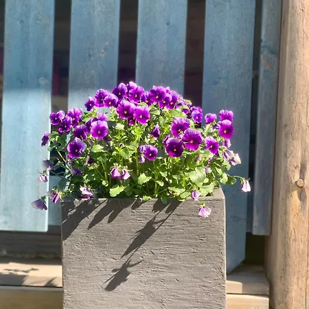 Authentic Log With Hot Tub شاليه