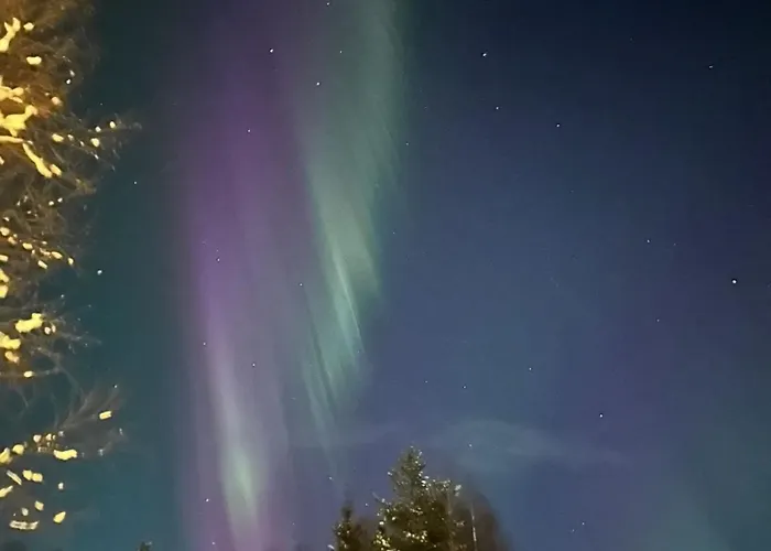 Authentic Log With Hot Tub Ranua