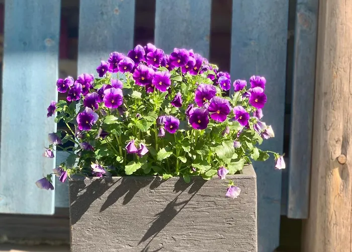 Authentic Log With Hot Tub Chalet